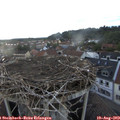 20_20-nest.jpg