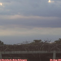 06_30-mast.jpg