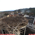 06_40-nest.jpg