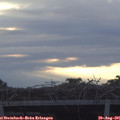06_50-mast.jpg