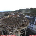 06_50-nest.jpg