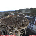 06_55-nest.jpg