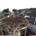 07_05-nest.jpg