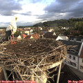07_40-nest.jpg