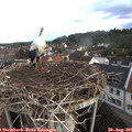 07_45-nest.jpg
