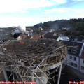 08_20-nest.jpg