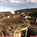 08_45-nest.jpg