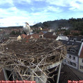 08_55-nest.jpg