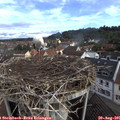 09_00-nest.jpg