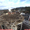09_05-nest.jpg