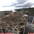 09_25-nest.jpg