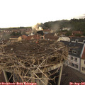 09_30-nest.jpg