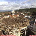 09_40-nest.jpg