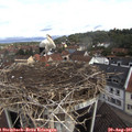 09_45-nest.jpg