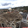 10_00-nest.jpg