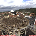 10_25-nest.jpg
