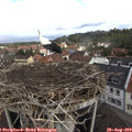 10_30-nest.jpg