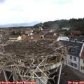 10_35-nest.jpg