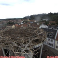 10_45-nest.jpg