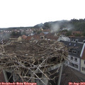 11_00-nest.jpg