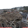11_05-nest.jpg