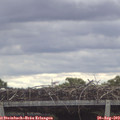 11_15-mast.jpg