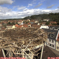 11_25-nest.jpg