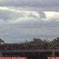 11_30-mast.jpg