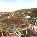 11_30-nest.jpg