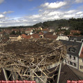 11_35-nest.jpg