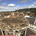 11_40-nest.jpg