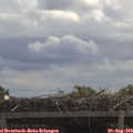 11_45-mast.jpg