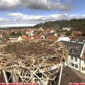 11_45-nest.jpg