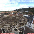 11_55-nest.jpg