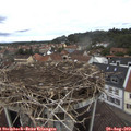12_05-nest.jpg