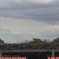 12_20-mast.jpg