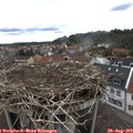 12_20-nest.jpg