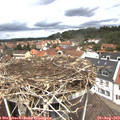 12_25-nest.jpg