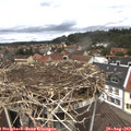 12_30-nest.jpg
