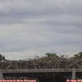 12_35-mast.jpg