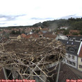 12_35-nest.jpg