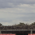 12_40-mast.jpg