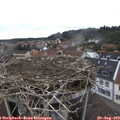 12_40-nest.jpg