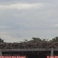 12_55-mast.jpg