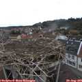 12_55-nest.jpg