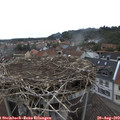 13_05-nest.jpg