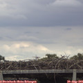 13_10-mast.jpg