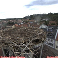13_20-nest.jpg