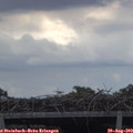 13_25-mast.jpg