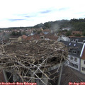 13_25-nest.jpg
